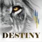Гурт Destiny